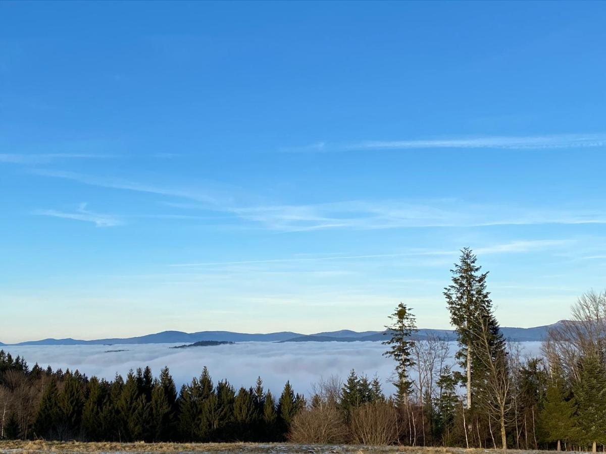 Uriges Top-Apartment Im Bayerischen Wald 3Br! +Netflix Schofweg ภายนอก รูปภาพ